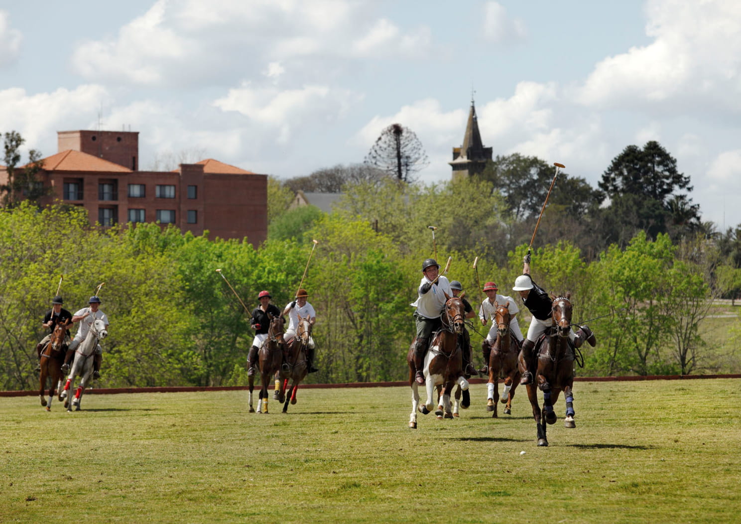 Partido de Polo | Zona Franca | Free Zone