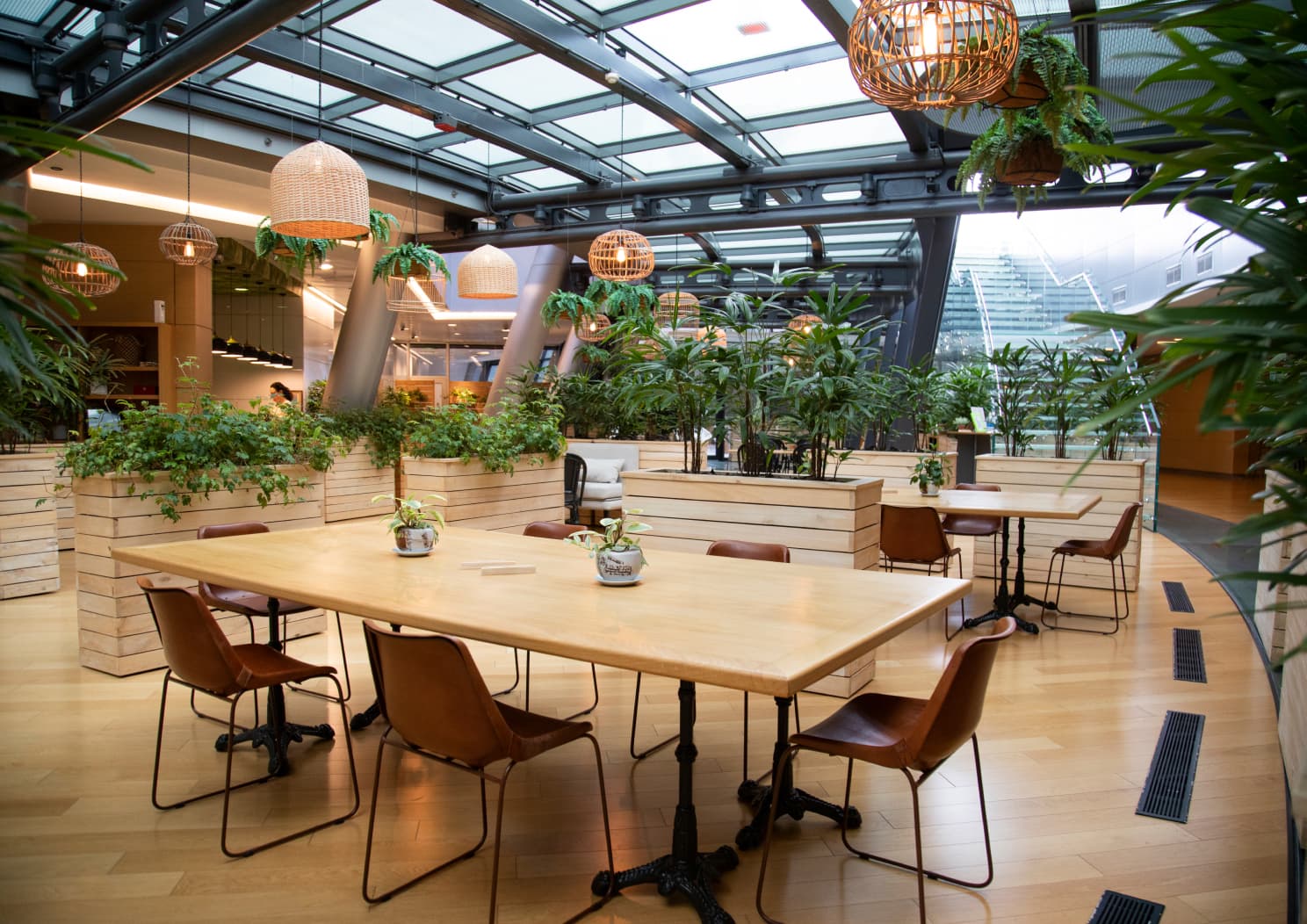 Jardin Café Zonamerica | Zona Franca | Free Zone